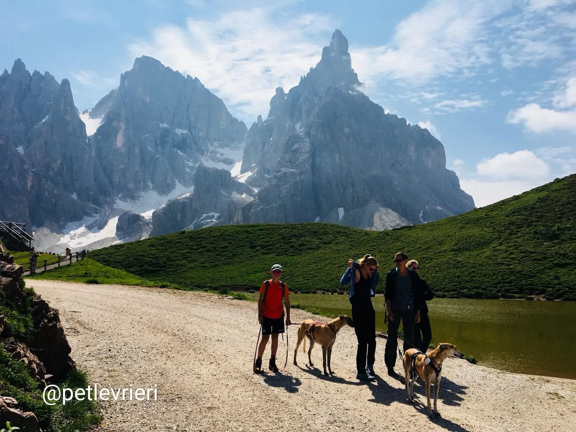 Tamoko adozione greyhound 13