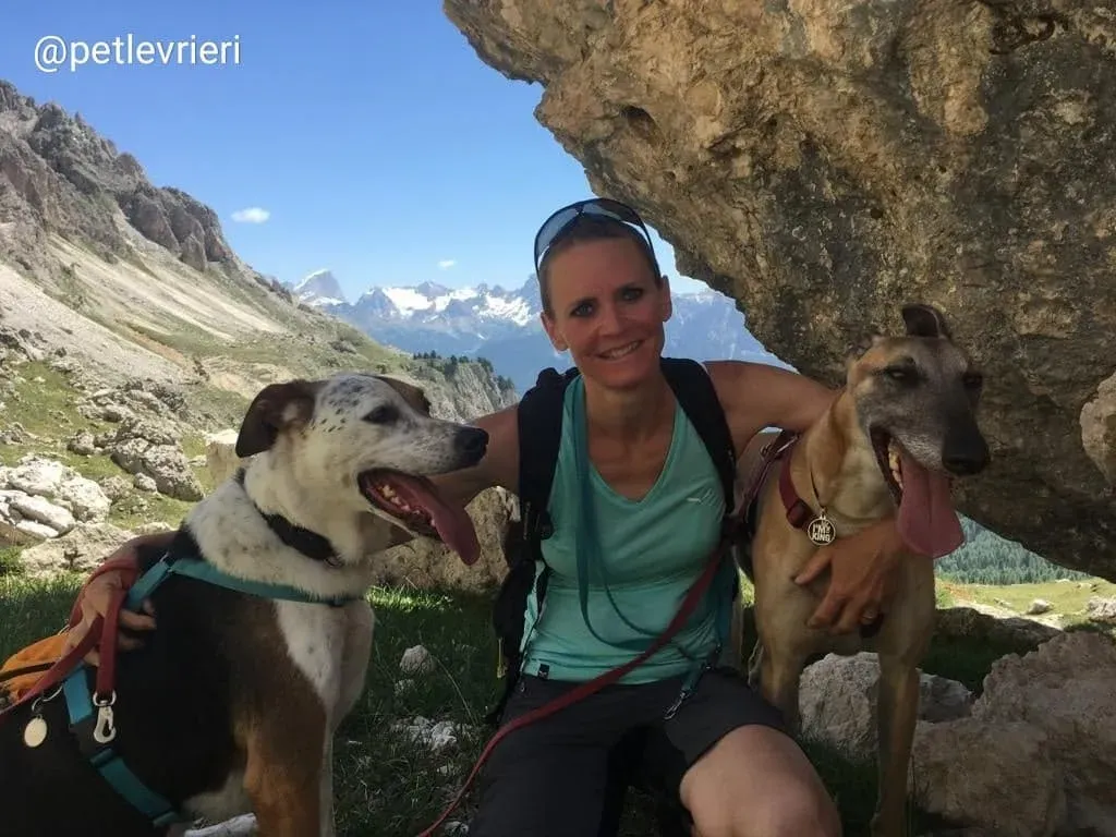 Tamoko adozione greyhound 7