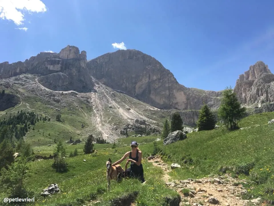 Tamoko greyhound adozione macao 2