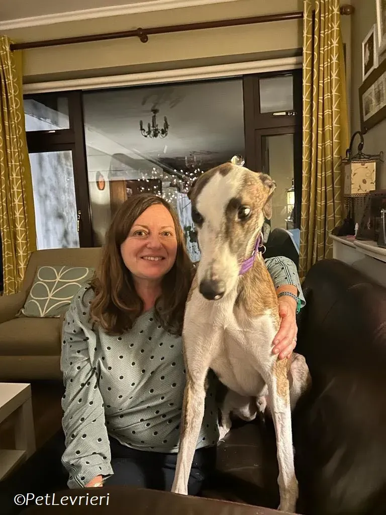 Themba adozione levrieri greyhound 4