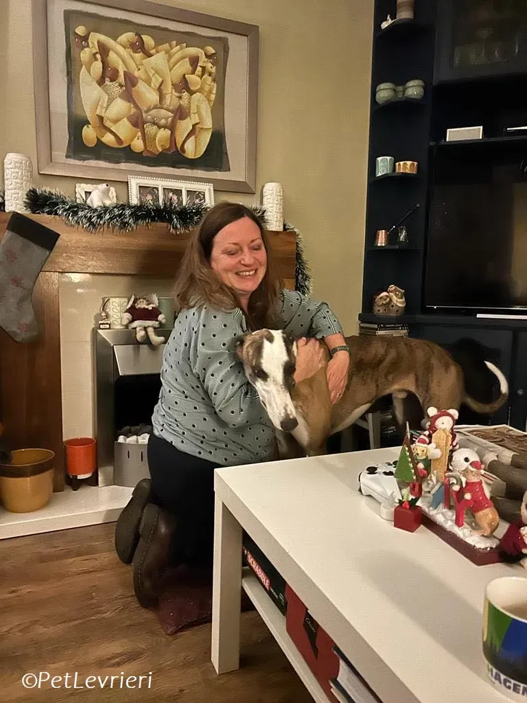 Themba adozione levrieri greyhound 5