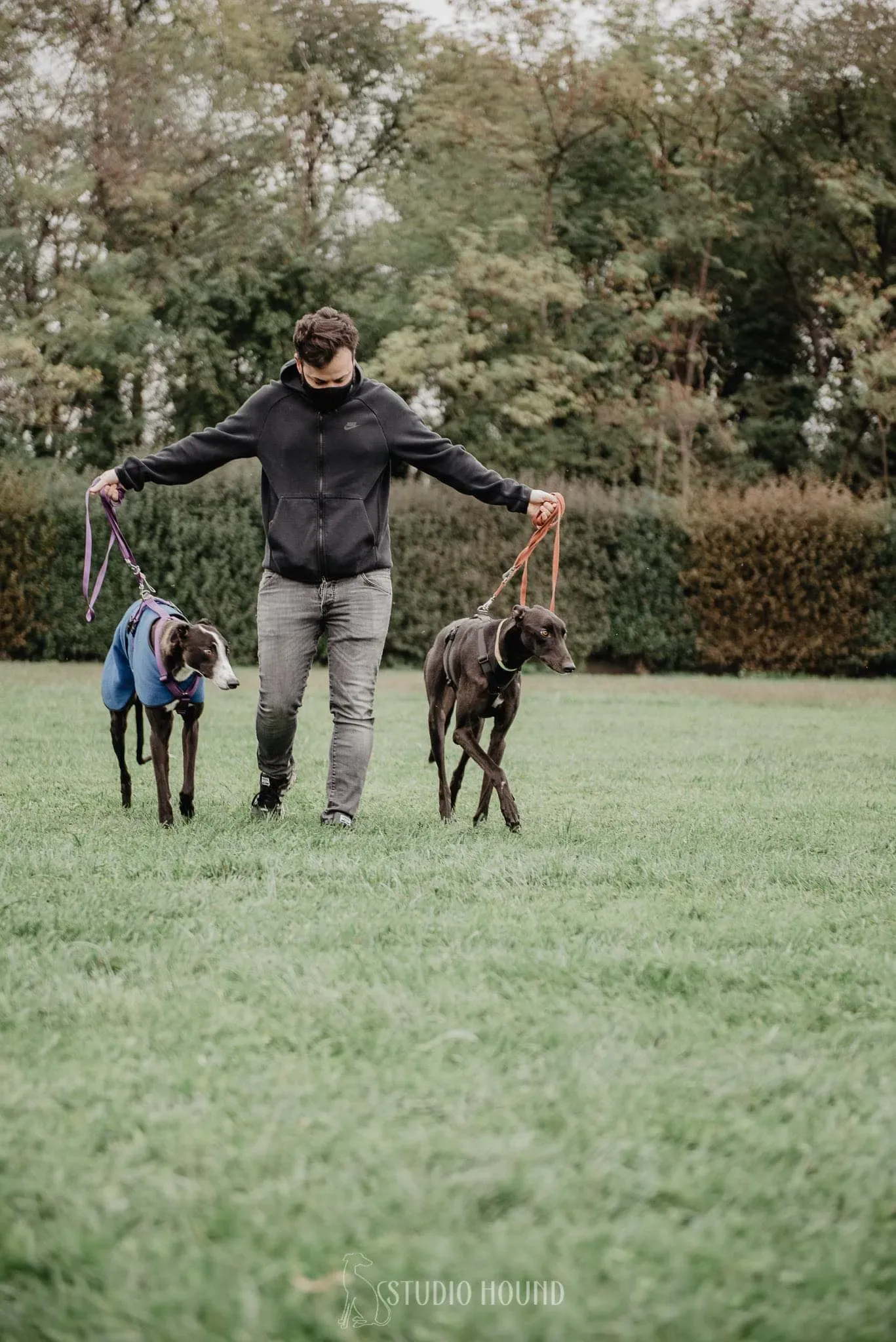 Thomas foster adozione levrieri greyhound 3