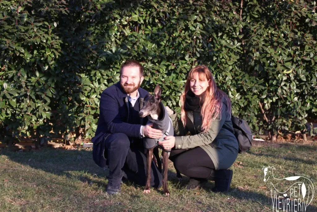 True Blighe Adozione Levrieri savemacaugreyhouns arrivo 10