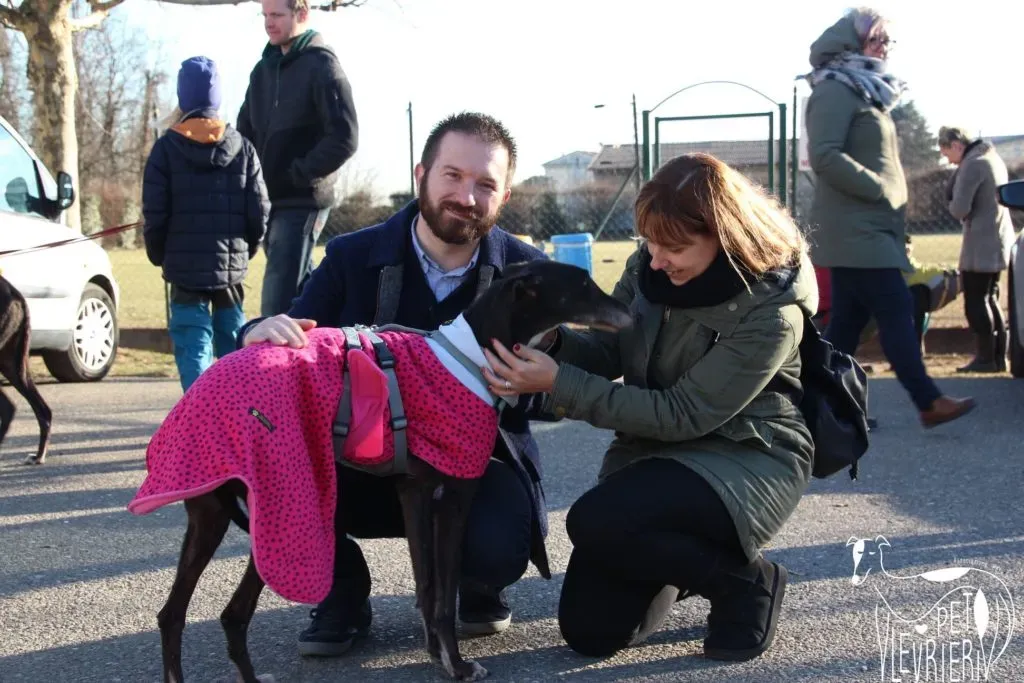 True Blighe Adozione Levrieri savemacaugreyhouns arrivo 2