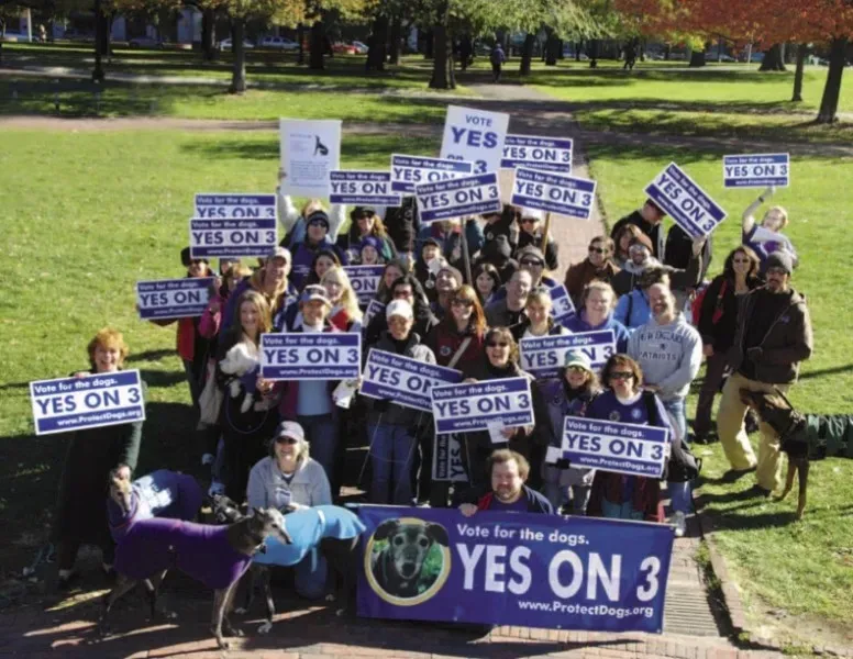 VOLUNTEERS LOBBY ON THE BOSTON COMMON TO END DOG RACING NOVEMBER 2008