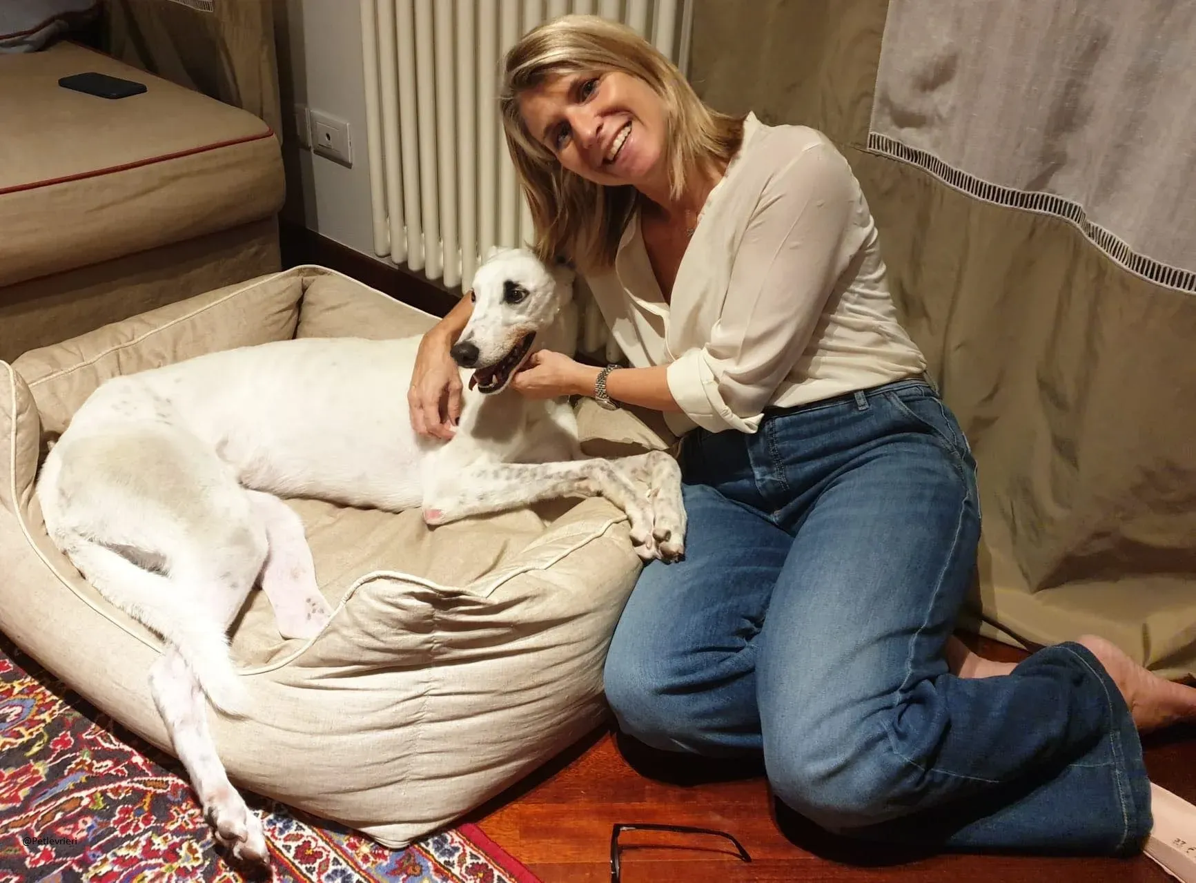 Valet Greyhound Adozione Levrieri famiglia foster 3