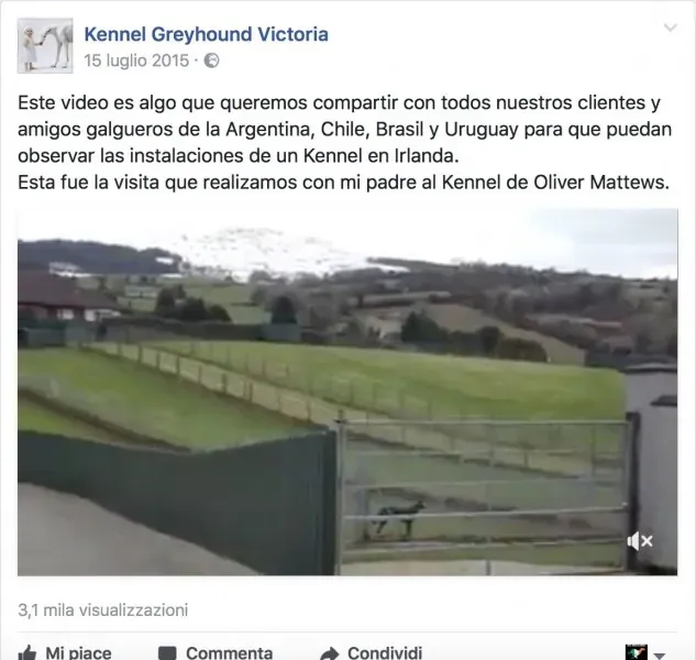 Video della visita presso la famiglia Mattew