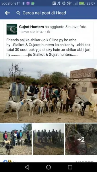 WhatsApp Image 2017 04 10 at 23.13.27