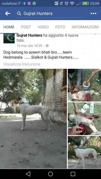 WhatsApp Image 2017 04 10 at 23.13.39