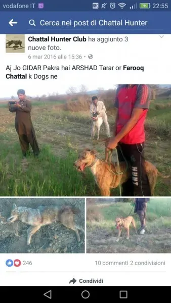 WhatsApp Image 2017 04 10 at 23.19.18