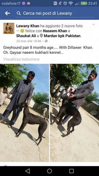 WhatsApp Image 2017 04 10 at 23.44.10