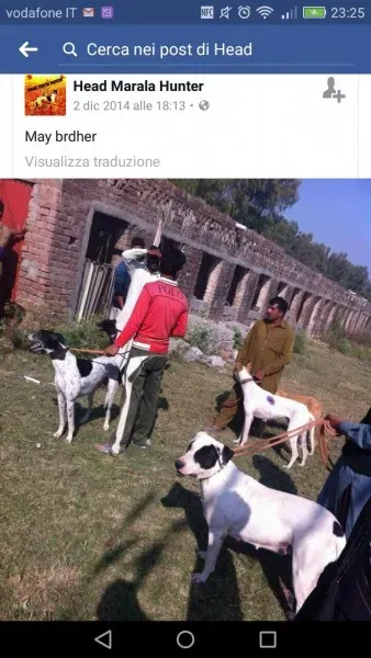 WhatsApp Image 2017 04 10 at 23.44.23