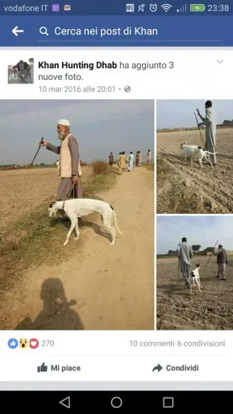 WhatsApp Image 2017 04 10 at 23.44.32