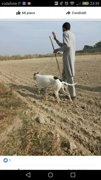 WhatsApp Image 2017 04 10 at 23.44.38