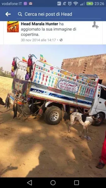 WhatsApp Image 2017 04 10 at 23.44.44