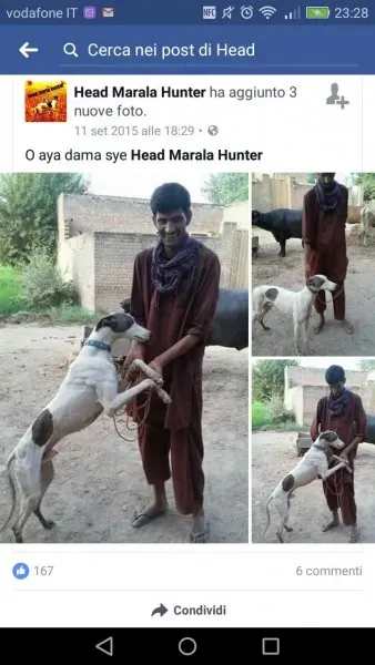 WhatsApp Image 2017 04 10 at 23.44.48