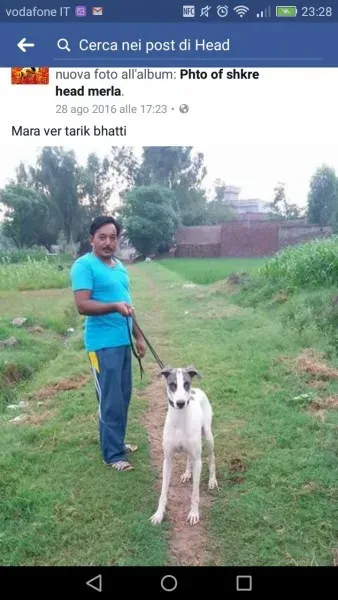 WhatsApp Image 2017 04 10 at 23.44.49