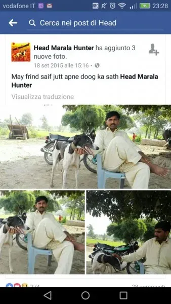 WhatsApp Image 2017 04 10 at 23.44.50