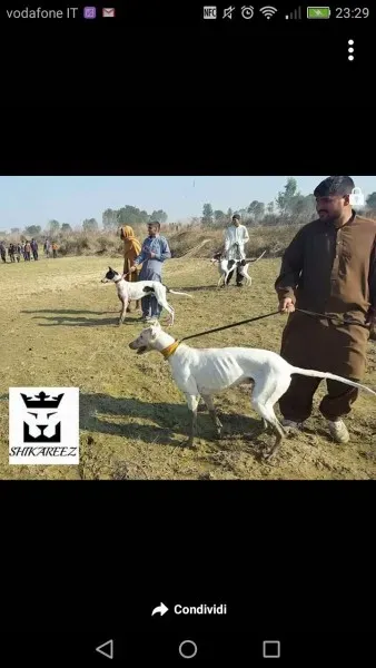 WhatsApp Image 2017 04 10 at 23.44.51