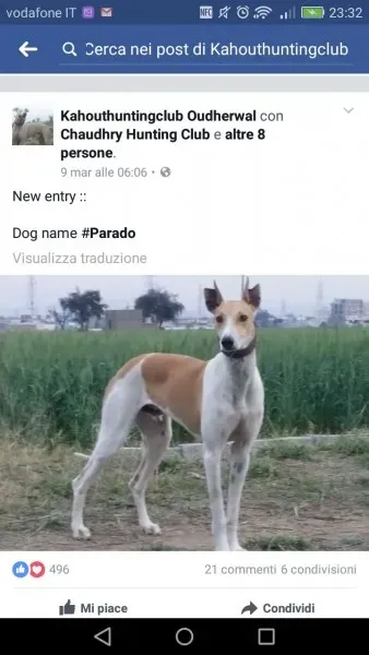 WhatsApp Image 2017 04 10 at 23.44.512