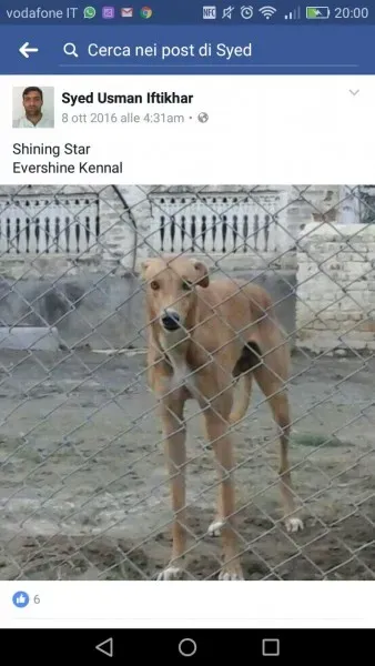 WhatsApp Image 2017 04 13 at 20.12.19