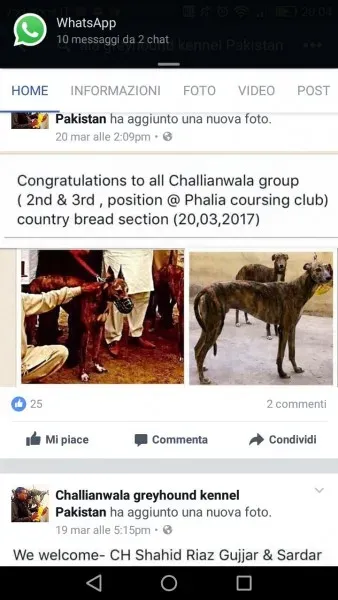 WhatsApp Image 2017 04 13 at 20.12.23