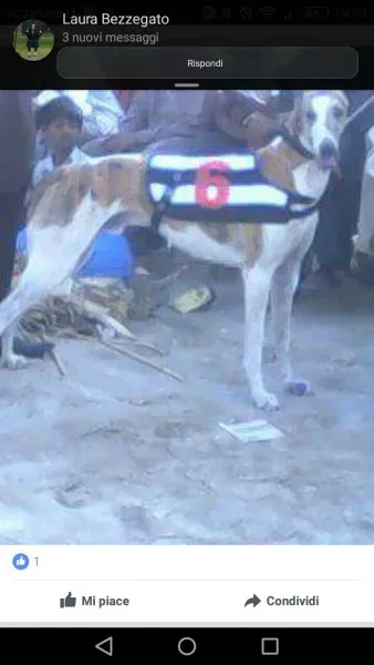 WhatsApp Image 2017 04 13 at 20.12.33