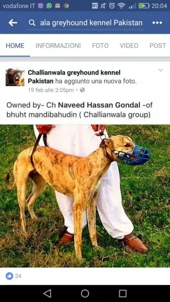 WhatsApp Image 2017 04 13 at 20.12.35