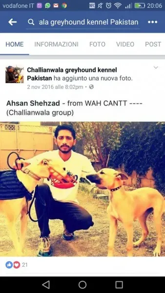 WhatsApp Image 2017 04 13 at 20.12.39