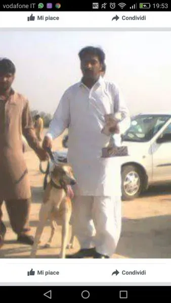 WhatsApp Image 2017 04 13 at 20.12.42