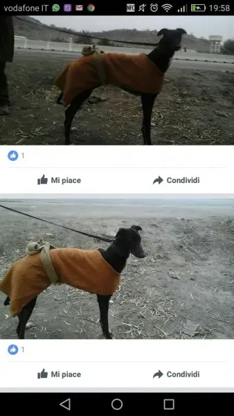 WhatsApp Image 2017 04 13 at 20.12.43