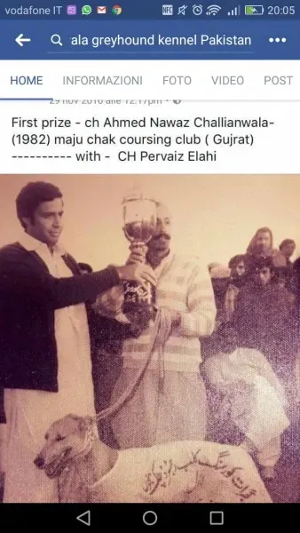 WhatsApp Image 2017 04 13 at 20.12.49