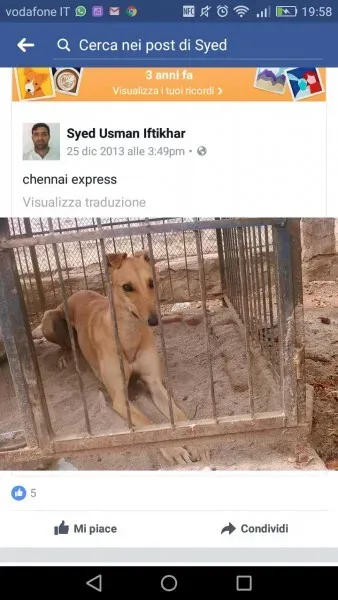 WhatsApp Image 2017 04 13 at 20.12.50