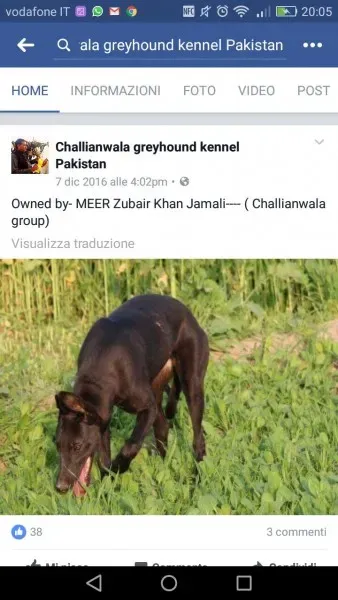 WhatsApp Image 2017 04 13 at 20.12.51