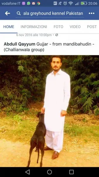 WhatsApp Image 2017 04 13 at 20.12.511