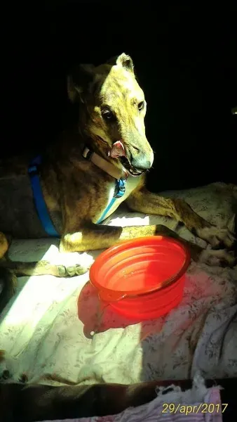 WhatsApp Image 2017 04 29 at 13.33.30