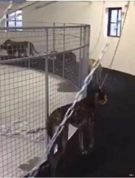 WhatsApp Image 2017 05 21 at 21.21.35