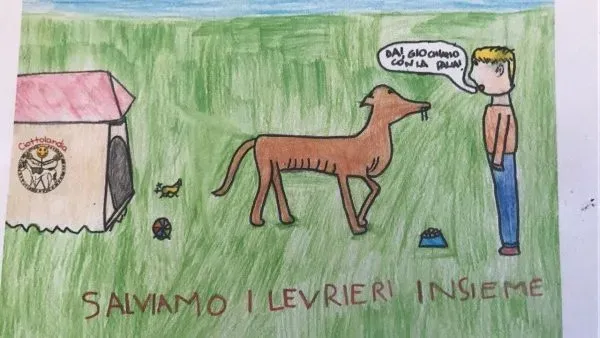 WhatsApp Image 2017 06 09 at 13.21.38 1 e1497007427654