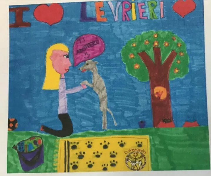 WhatsApp Image 2017 06 09 at 13.21.57 1