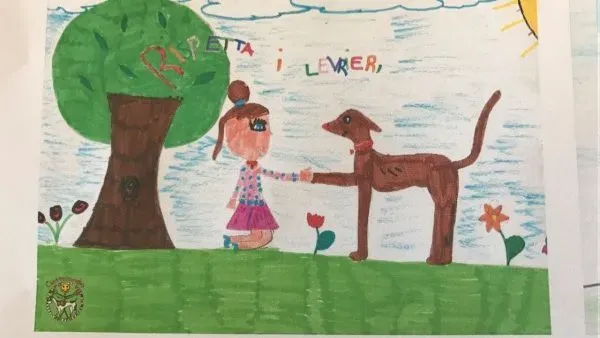 WhatsApp Image 2017 06 09 at 13.22.15 e1497007417878