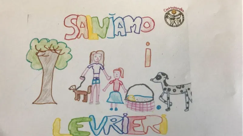 WhatsApp Image 2017 06 09 at 13.22.30