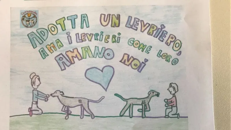 WhatsApp Image 2017 06 09 at 13.22.43