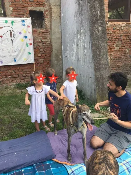 WhatsApp Image 2017 06 18 at 15.12.20