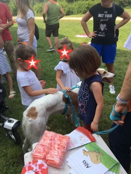 WhatsApp Image 2017 06 18 at 15.12.39