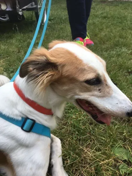 WhatsApp Image 2017 06 18 at 15.12.46