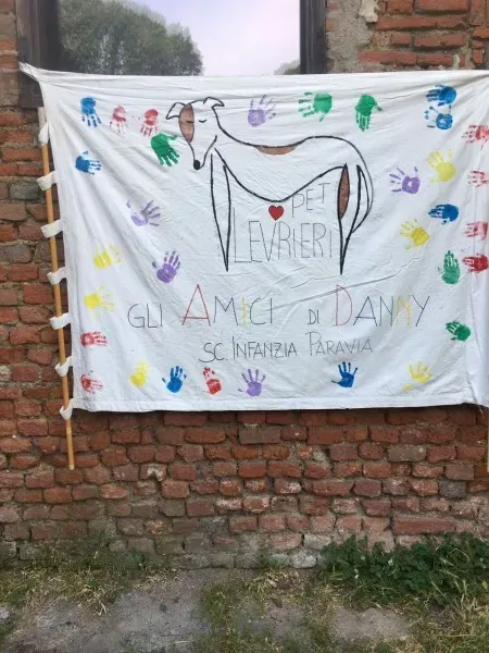 WhatsApp Image 2017 06 18 at 15.13.20