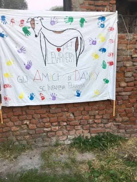 WhatsApp Image 2017 06 18 at 15.13.25