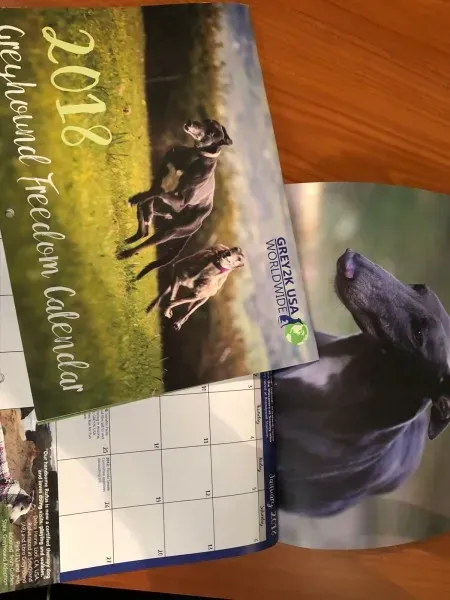 WhatsApp Image 2017 11 23 at 08.06.25