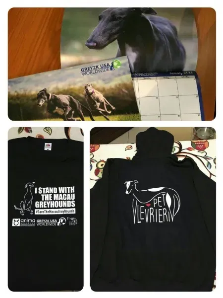 WhatsApp Image 2017 11 23 at 10.03.17