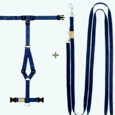 WhatsApp Image 2017 11 23 at 10.24.36